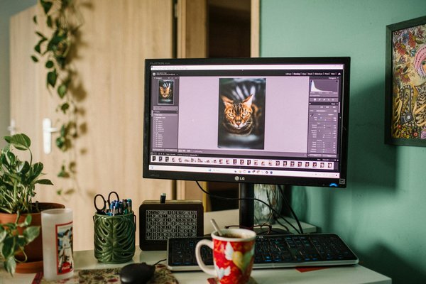 Rendus photo réalistes en 3d : sublimez vos idées créatives